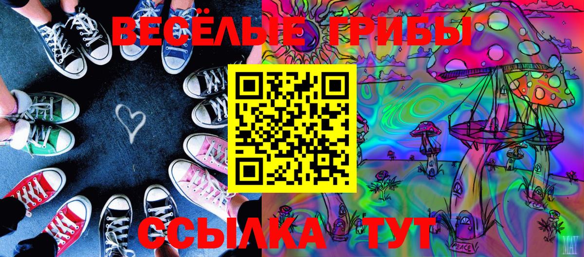 Чита  Псилоцибиновые грибы GOLDEN TEACHER  Вход с VPN 